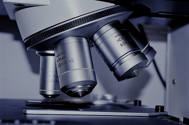 Science Asides: Ethics in The Immortal Life of Henrietta Lacks. Text by Rita E. Gould