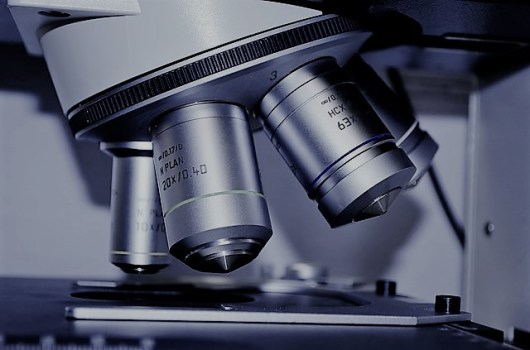 Science Asides: Ethics in The Immortal Life of Henrietta Lacks. Text by Rita E. Gould