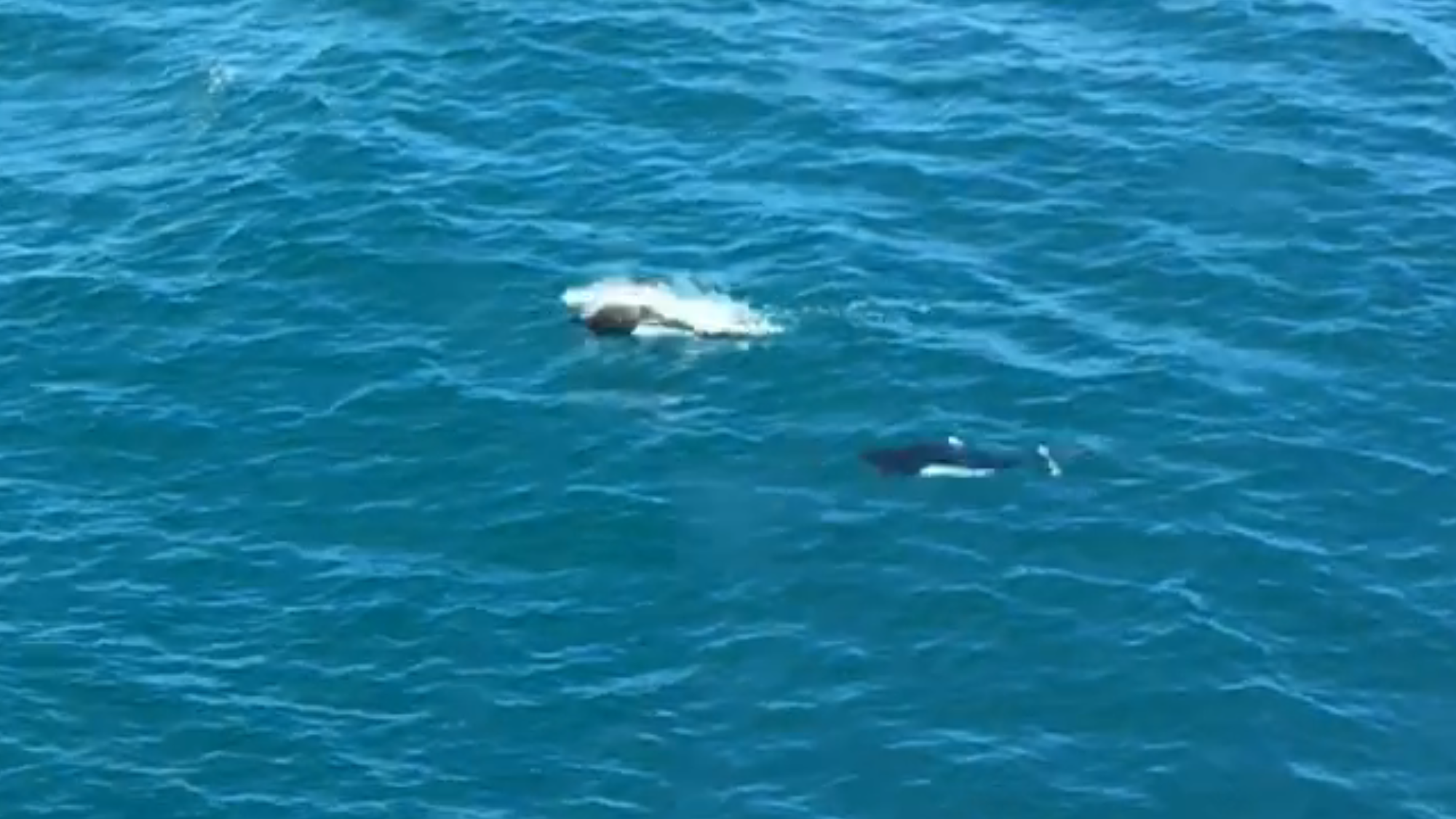 Blogging While Traveling in Alaska: Comedic Missteps and Lessons Learned Text by Rita E. Gould