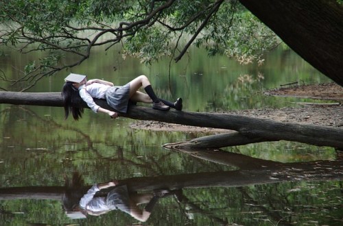 Sleepy reader on a log