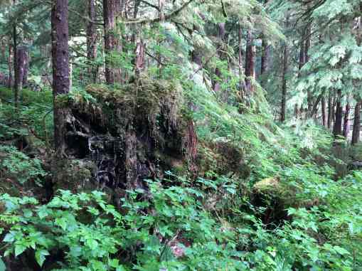 An Alaskan Legend: Velma Wallis's Two Old Women. Text and Photo by Rita E. Gould