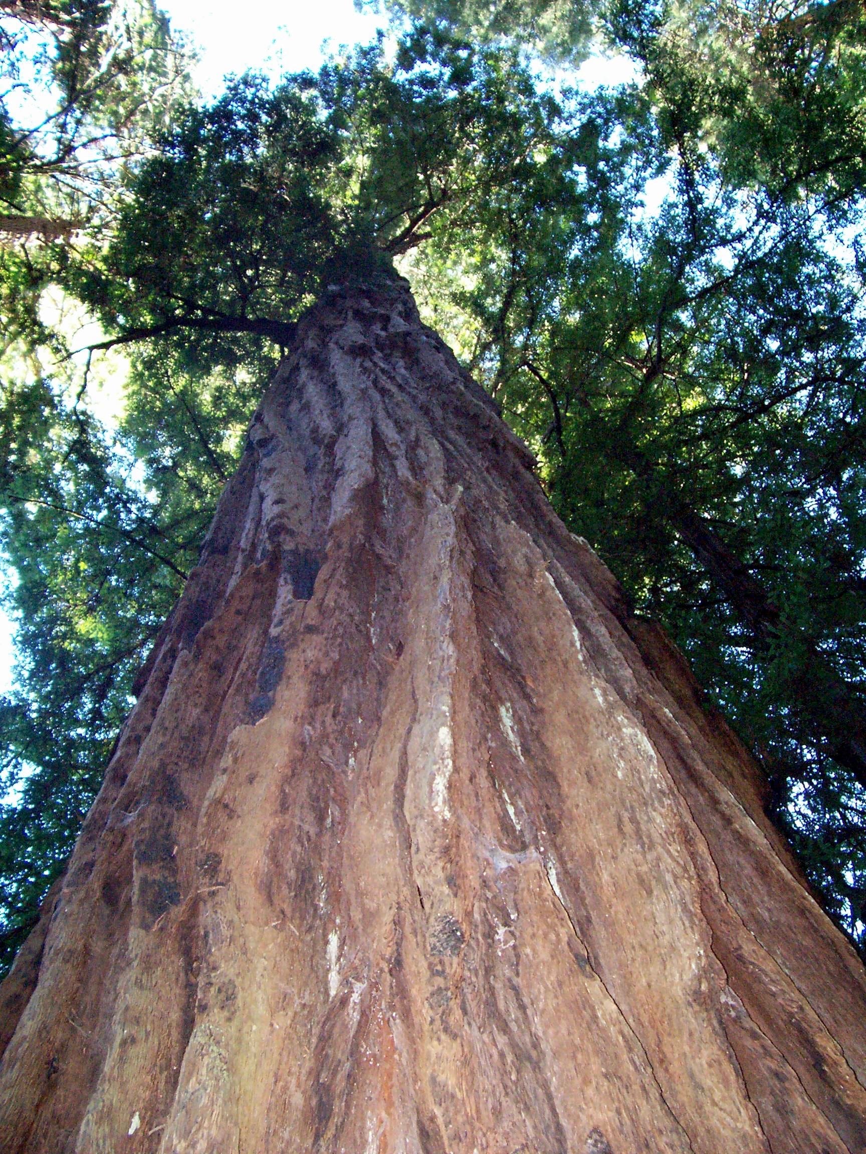 Hidden Scientific History: How Humboldt Shaped Our View of Nature. Text by Rita E. Gould. Photo credit: Jeremy S. Henderson.