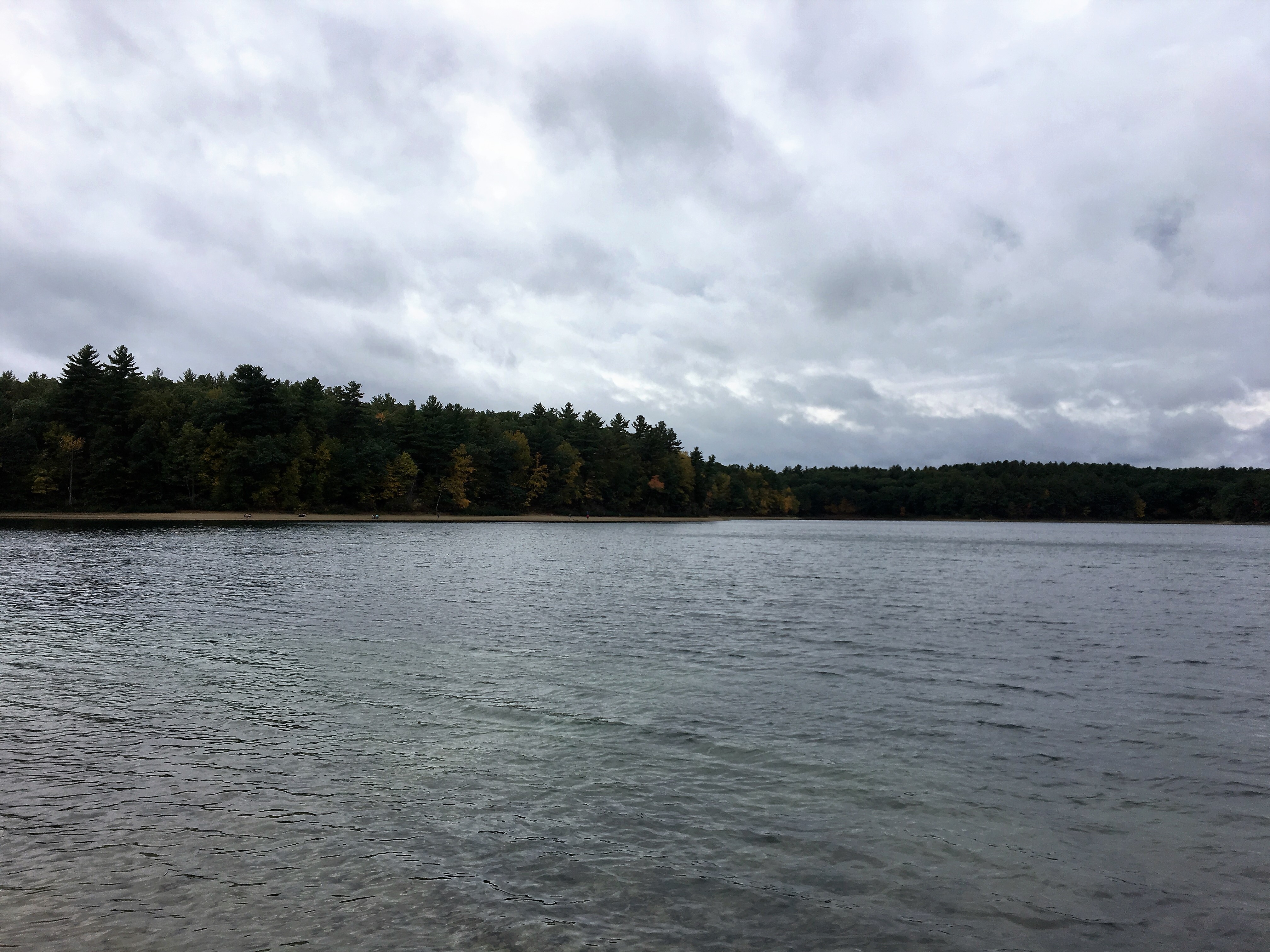 Hidden Scientific History: How Humboldt Shaped Our View of Nature. Text and photo by Rita E. Gould