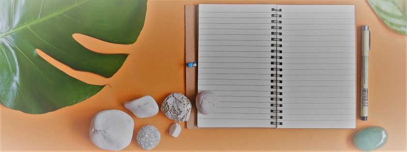 Summertime and the Writing Isn't Easy. Text by Rita E. Gould