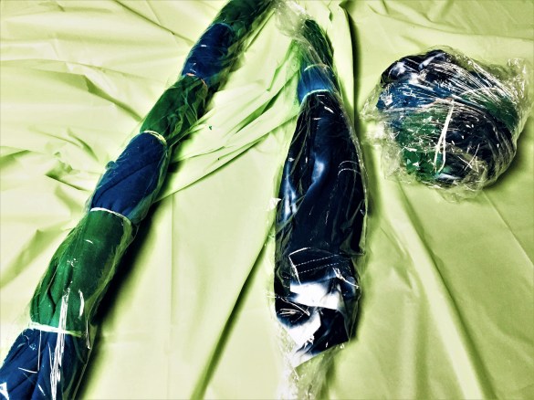 Summertime and the Writing Isn't Easy. Text and photo (this particular one) by Rita E. Gould