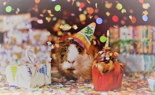 Notes from NaNoWriMo: A Week in the Life of a Wrimo. Text by Rita E. GouldText by Rita E. Gould