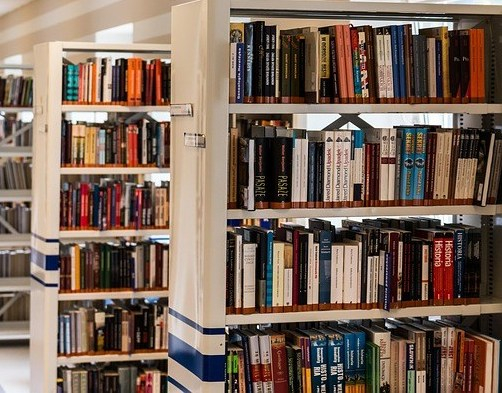 The Other Side of the Circulation&nbsp;Desk