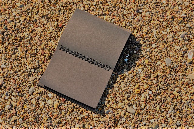 What I Wrote for Summer&nbsp;Vacation