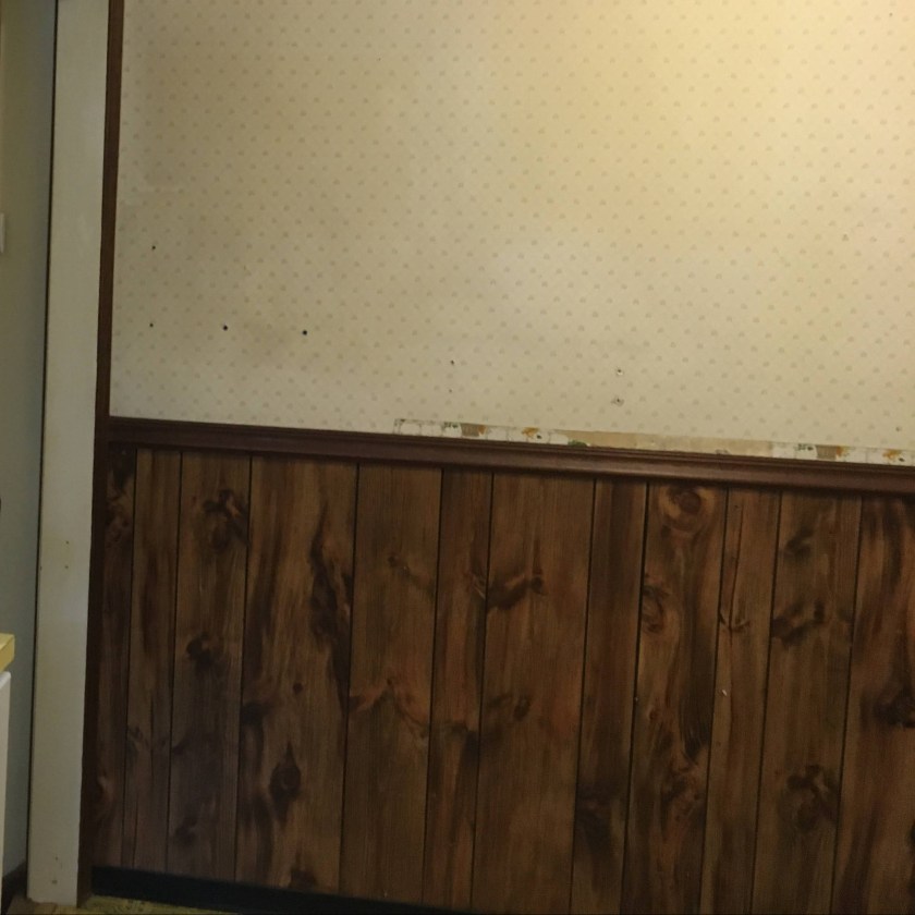 Kitchen wall, before demolition. Writing Connections: DIY and Writing Part 2. Text and image by Rita E. Gould