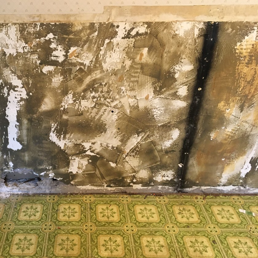 More unfortunate kitchen capers. When my spouse pulled off the paneling, we found a literal hole in the wall, likely caused by a long ago flood. It looks like the former DIYers went with a cover up instead of repair! Writing Connections: DIY and Writing Part 2. Text by Rita E. Gould. Image by Jeremy Henderson